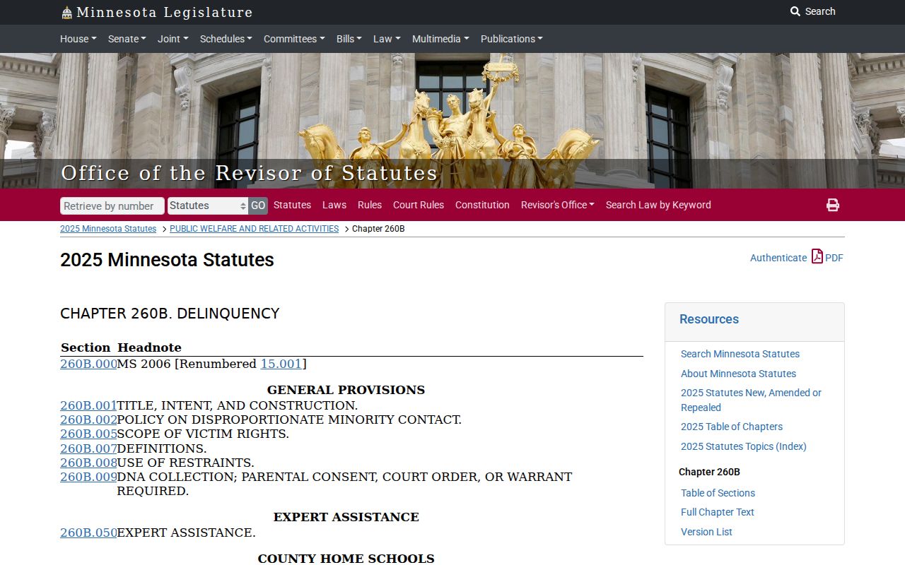 Blackduck court records juvenile access statute