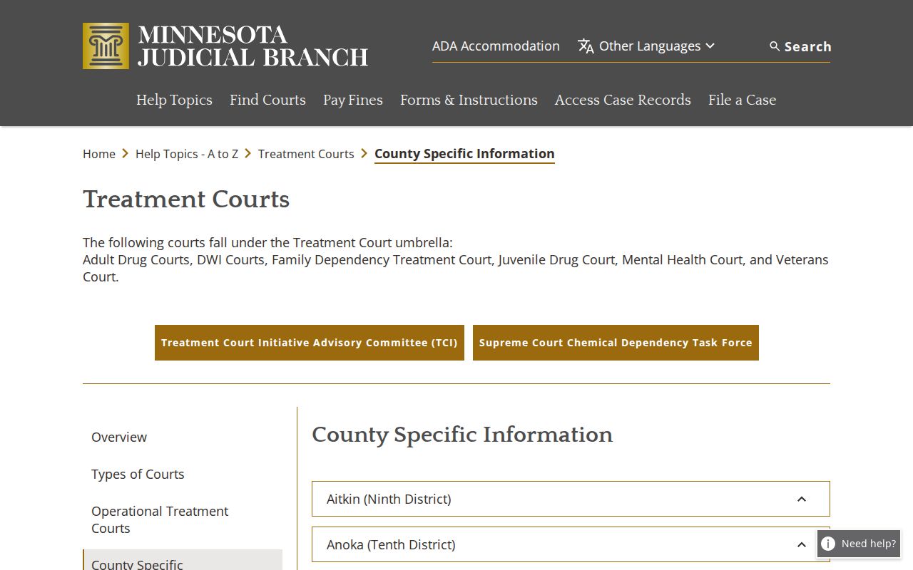 Kelliher court records Beltrami treatment courts information